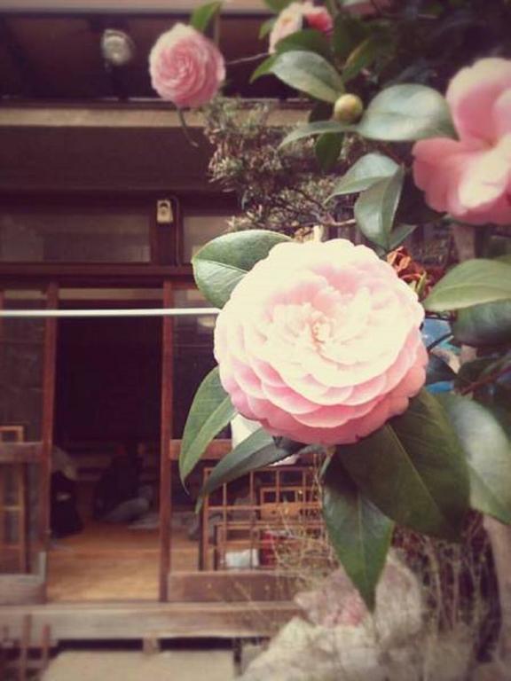 Gomaharu Guesthouse Osaka Exterior photo